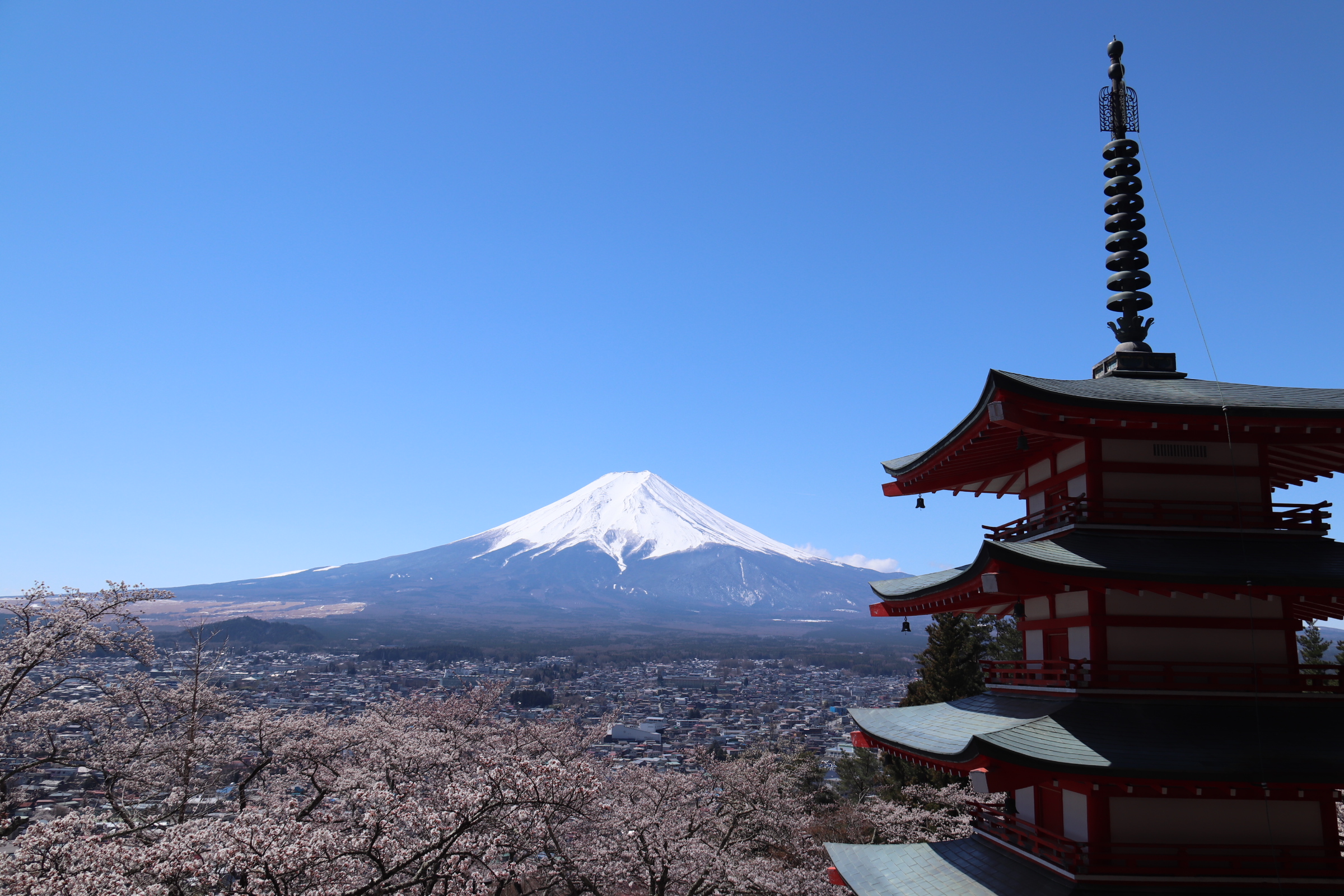 JP 2019 April Sakura Arakurayama Sengen Park | Japan Travel Insights by ...